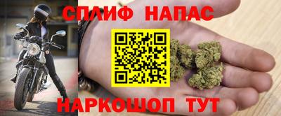 крисы Гусев