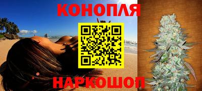 крисы Гусев